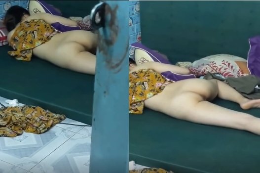 Esgueirando -se nos vizinhos ao dormir, revelando borboletas